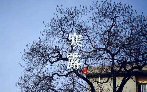 1602150486773932.png 微信图片_20201008174912.png